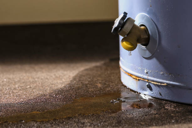 Best Residential water damage restoration  in Berwick, LA