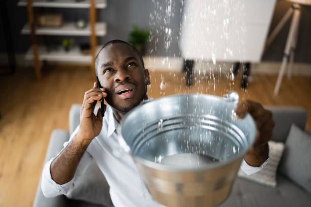 Best Water damage restoration near me  in Berwick, LA