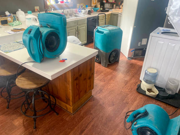 Best Water damage contractors near me  in Berwick, LA