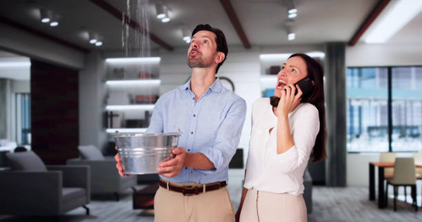 Best Mold removal after water damage  in Berwick, LA